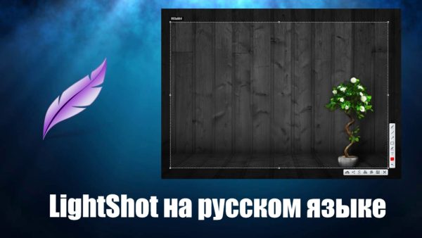 Обзор программы LightShot на русском языке