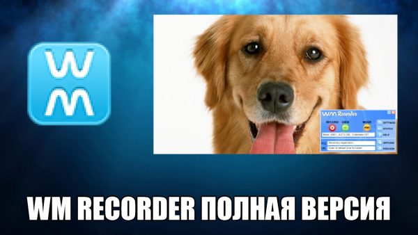 Обзор программы WM Recorder на русском языке