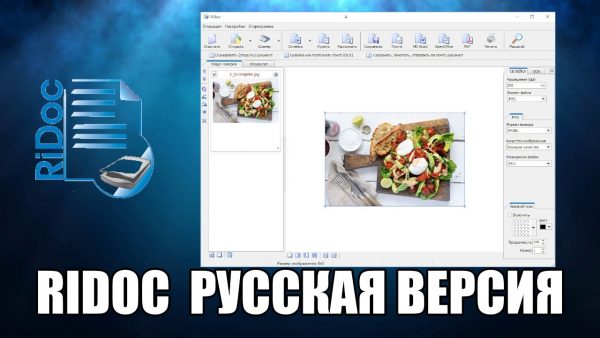 Обзор программы RiDoc на русском языке