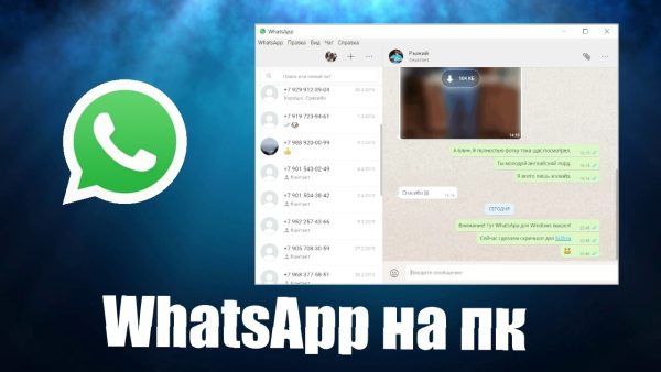 Обзор программы WhatsApp на русском языке