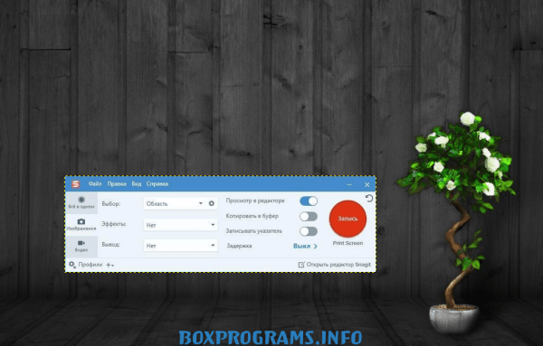 Snagit русская версия